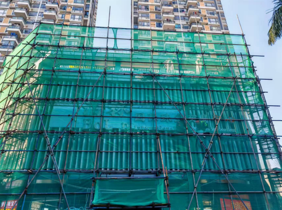 1735018651654.jpg 1735018651654.jpg